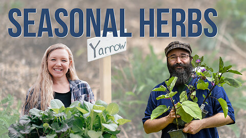 Herbs for Every Season (with Bevin Cohen) | Pantry Chat