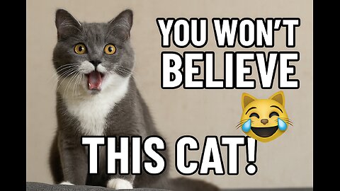 “Warning: This Cat Might Break the Internet 😹🔥