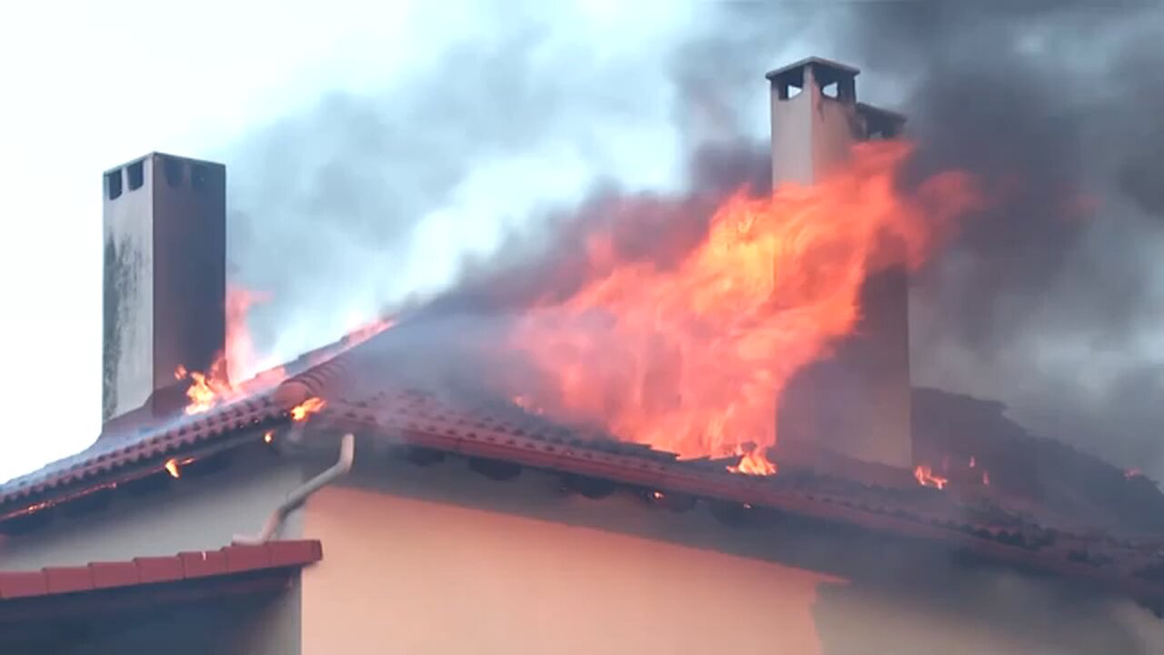 Greek residents defend homes as wildlife tears through village