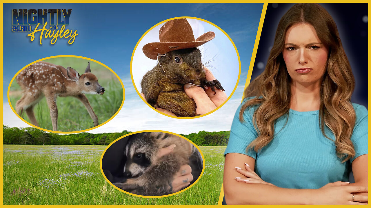 P’Nut Killed And Now Little Buck? The Government Overlords Strike Again! - Hayley Caronia (Ep.111)