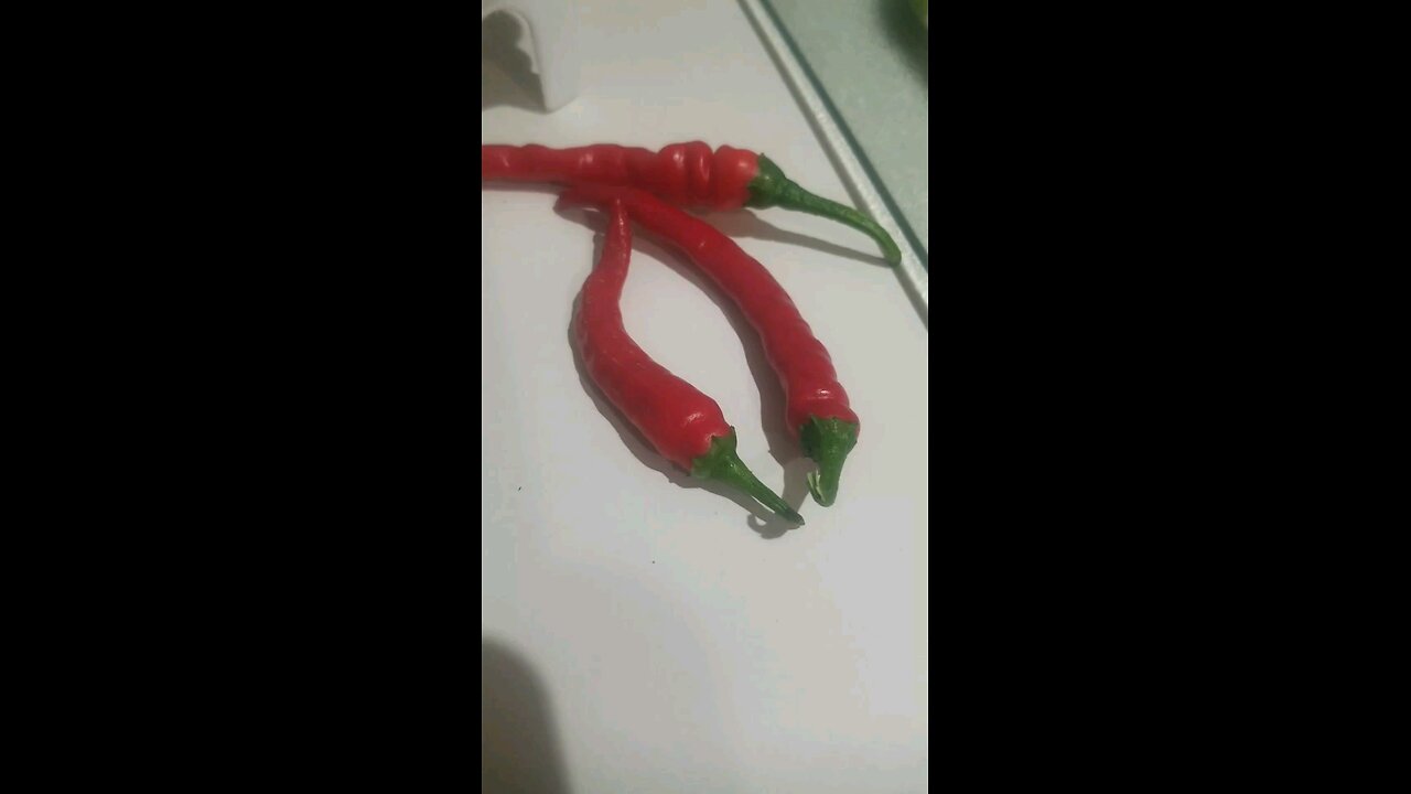 Homemade cayenne buffalo sauce, chicken AND TOFU pizza!!!