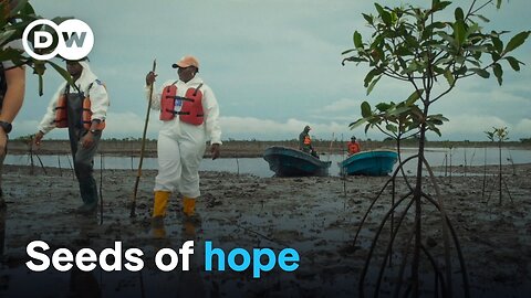 Nigerian communities vs. Big Oil | DW Documentary