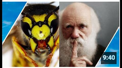 "An Exploration of Parasitic Wasps: Their Lifestyle and Impact on Ecosystems"
