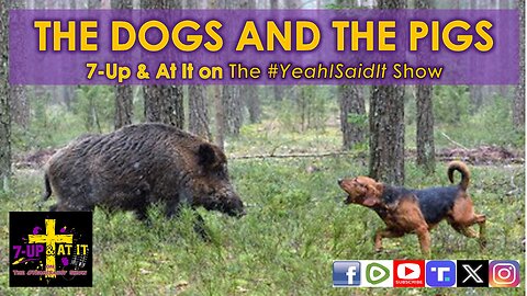 WORD OF THE DAY: MATTHEW 7:6 - THE DOGS AND THE PIGS