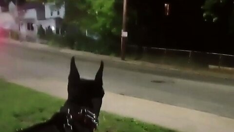 "MRE Evening Stroll & Live on Manton Ave. Providence R.I." (8May2025) A 'MRE' Livestream