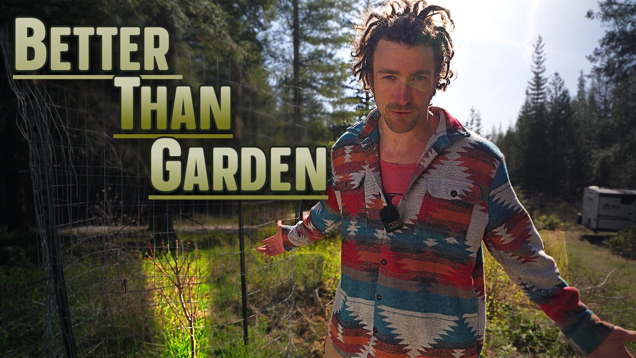 Better Than Garden