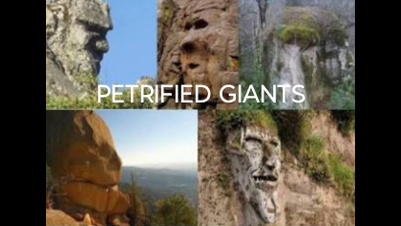 PETRIFIED GIANTS | forever STREAM edition