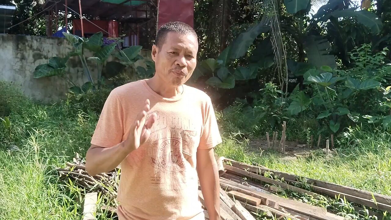 I look where chicken egg