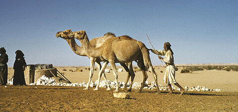 nomadic lifestyle of Iran