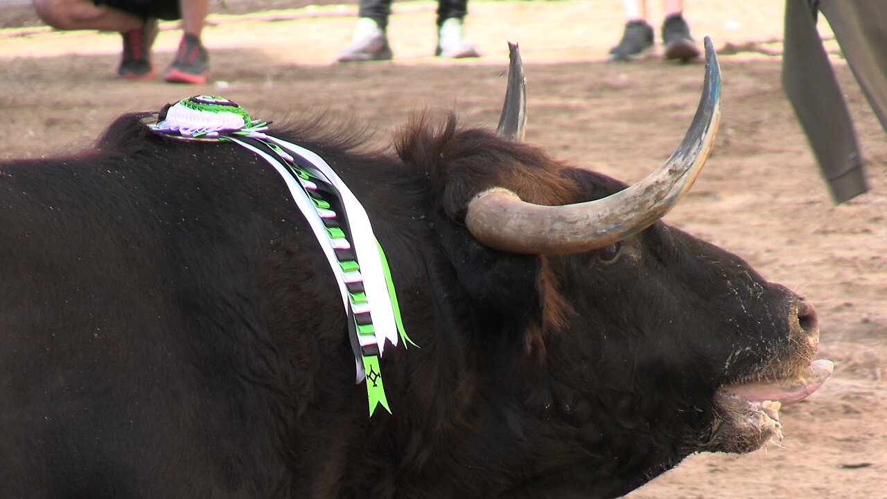 2025 05 03 ONDA ÁNGEL GÓMEZ NÚÑEZ Nº3