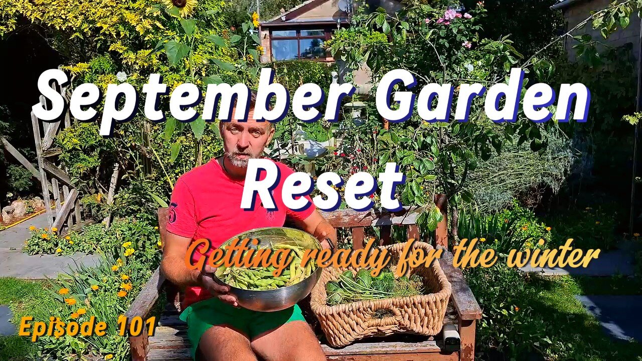 September Garden Reset: Harvesting Beans & Cucumbers + Autumn Sowing Begins