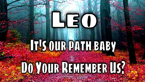 Leo Tarot: The Karmic Soulmate VS The Divine Soulmate? 💞 A Soul's Wish!