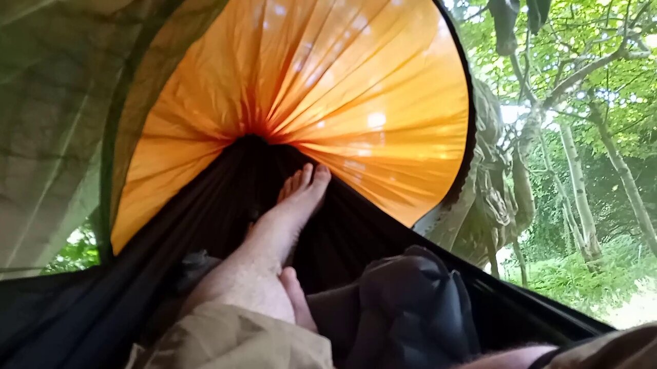 chill, #hammock, #England , #summer , #camping , #forest ,