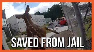 Why Was This Baby Trying to Break INTO Prison?!