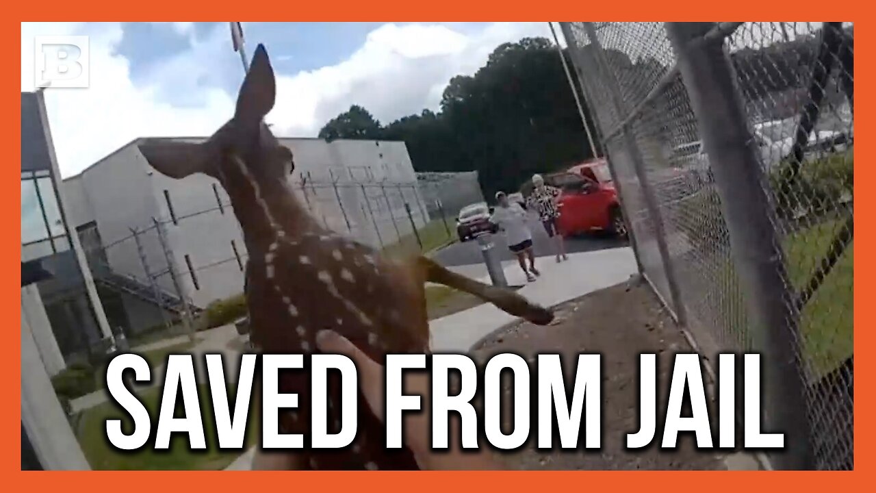 Why Was This Baby Trying to Break INTO Prison?!