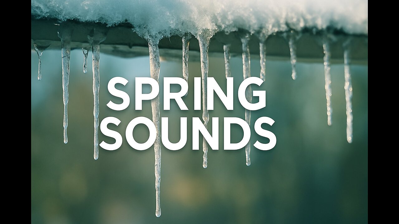 “Calm and comfort | Sounds for sleep, work, and relaxation”