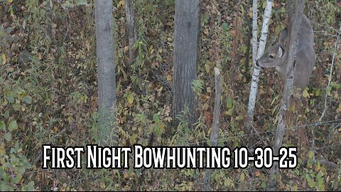 First Night Bowhunting 2025