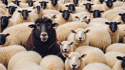 The AWAKENING Process Can Be Incredibly Difficult and Isolating