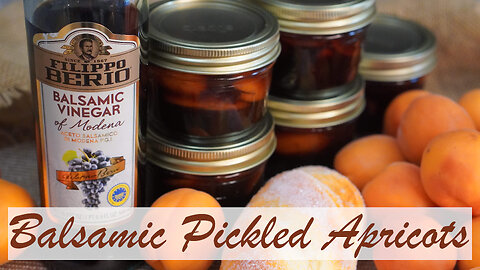 Balsamic Pickled Apricots Canning Recipe