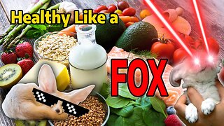 Healthy Like a Fox: Gut Health