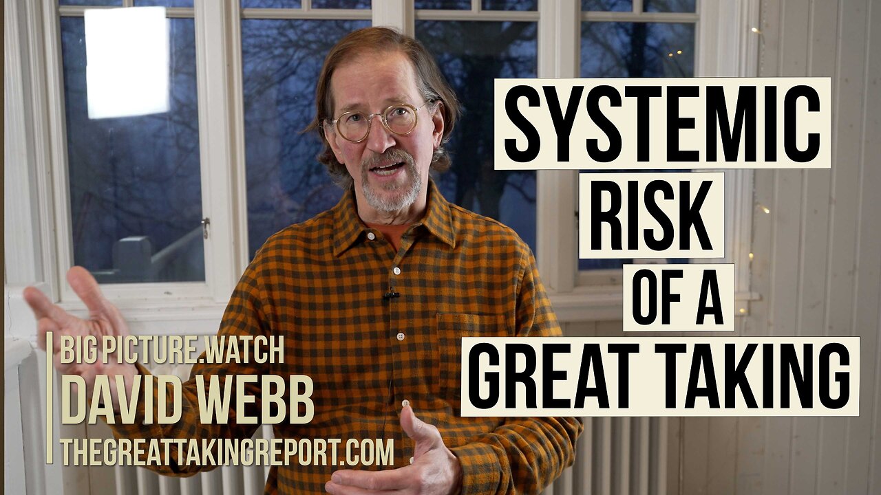 David Webb | Systemic Risks of a Great Taking | BIGPICTURE.WATCH