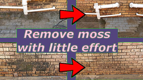SHOCKING Benefits of Moss Removal Exposed