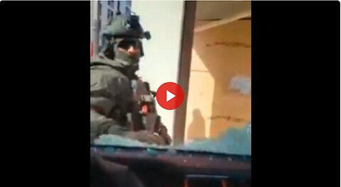 Canadian Pigs Breaking Windows To Apprehend Peaceful Protestors