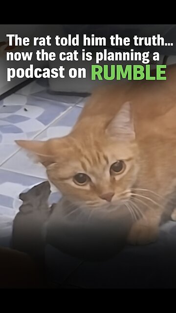 When the ops start giving you friendly advice