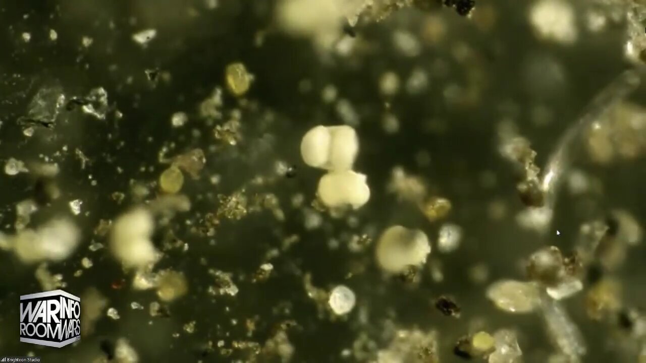 Organic And Inorganic Material That Has Somehow Found Its Way Into Our Air