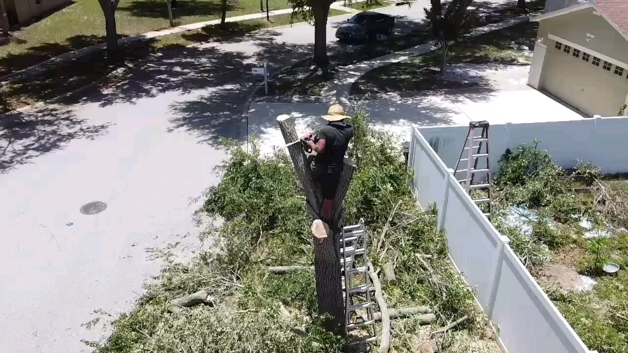 DetroitWoods