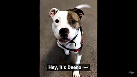 Deano says Stop scrolling.