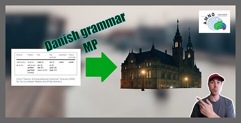 "MPs for learning L2 grammar" | Memory Stream | 7 May 2025 (clip)