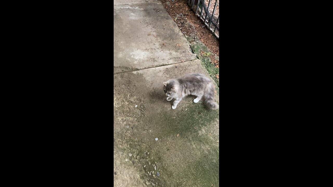 Are people that brainwashed!??