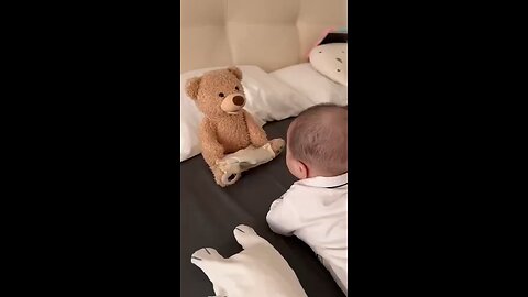 Teddy Bear