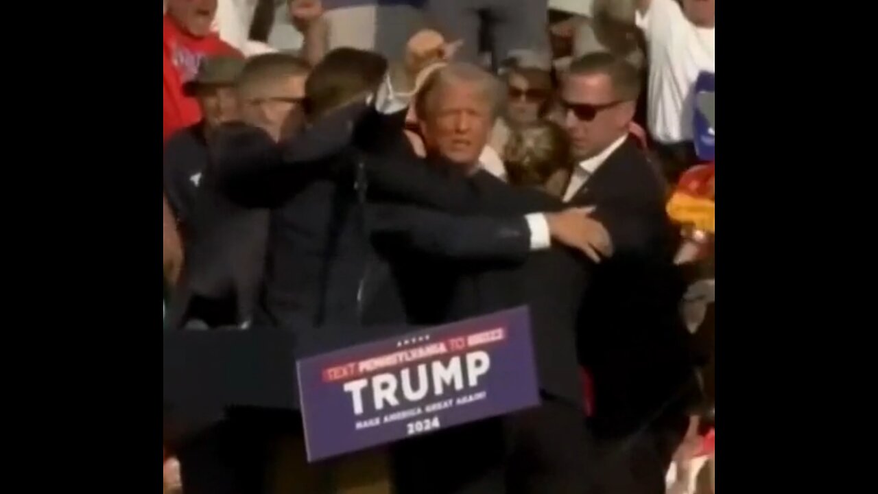 Real Deplorables - The Story So Far!