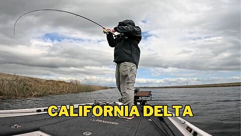 Things are starting to Happen - California Delta