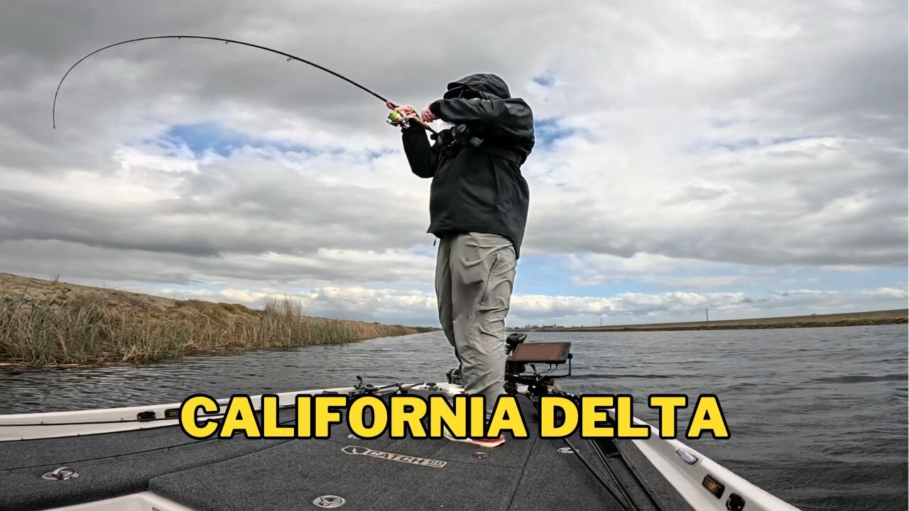 Things are starting to Happen - California Delta