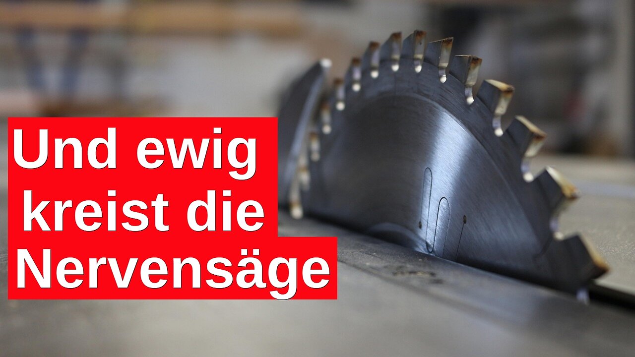 MeGGi - Und ewig kreist die Nervensäge ...