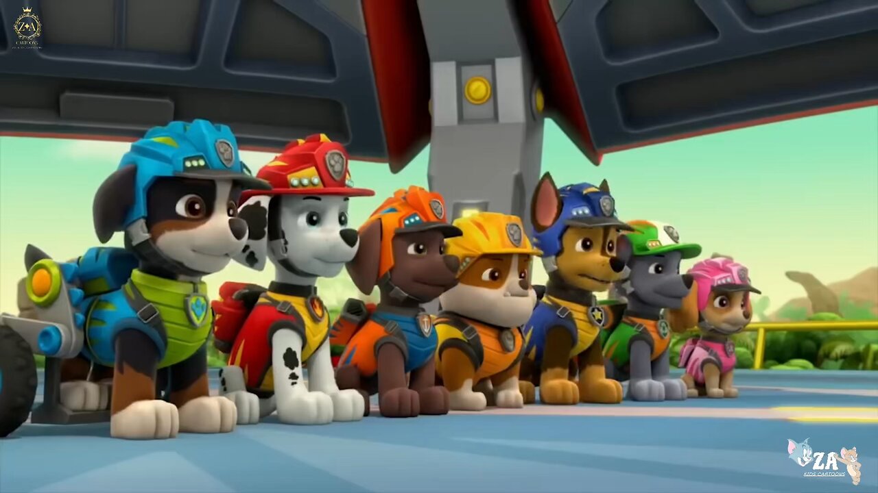 PAW Patrol Cartoons