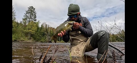 Michigan: Smallmouth on Topwater ALL. DAY. LONG.