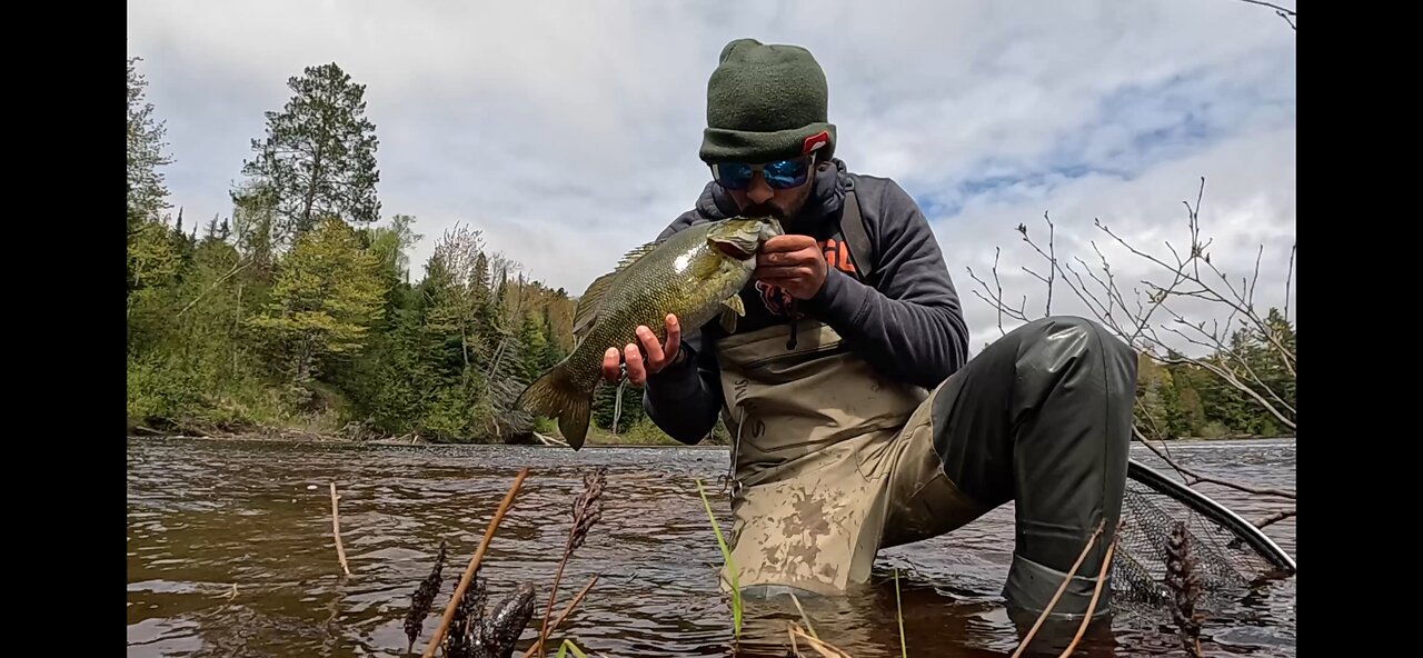 Michigan: Smallmouth on Topwater ALL. DAY. LONG.