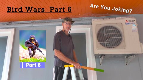 Bird Wars Part 6