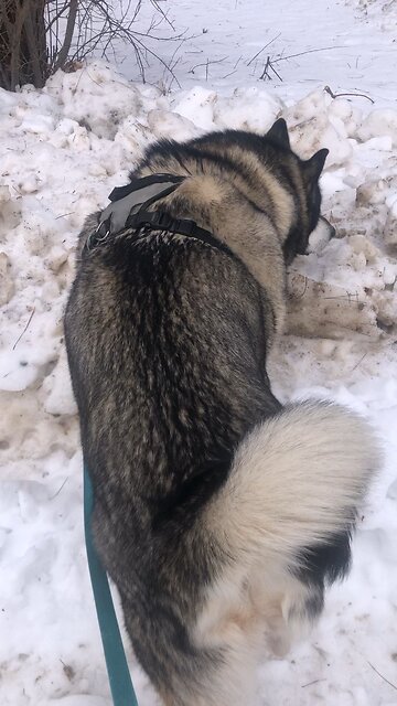 Wednesday January 14, The Lord is wonderfully good to those who wait.