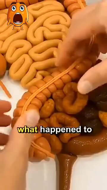 BODY Reacts when Fasting