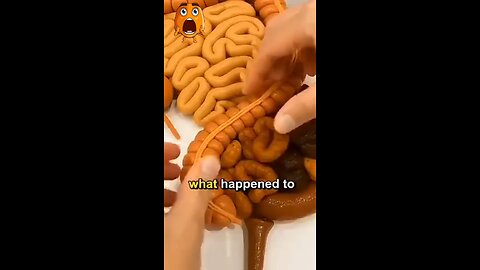 BODY Reacts when Fasting