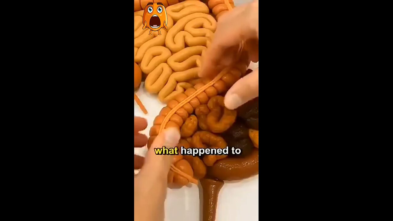 BODY Reacts when Fasting