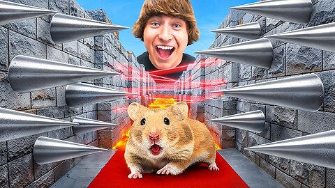 I Built a Minecraft Maze for my Hamster to Escape... 