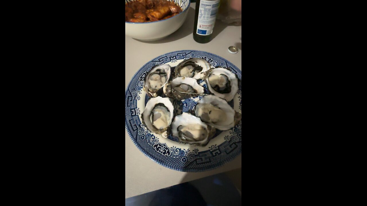Oysters 🦪 + beer 🍺