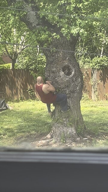 Ep. 326 “Gorilla” by Patrick Henry The Batman