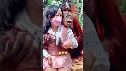 Funny Animals #funnyanimals #animals #pets #shorts